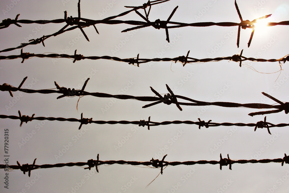 The barbed wire with gray sky. The barbed wire with gray sky.