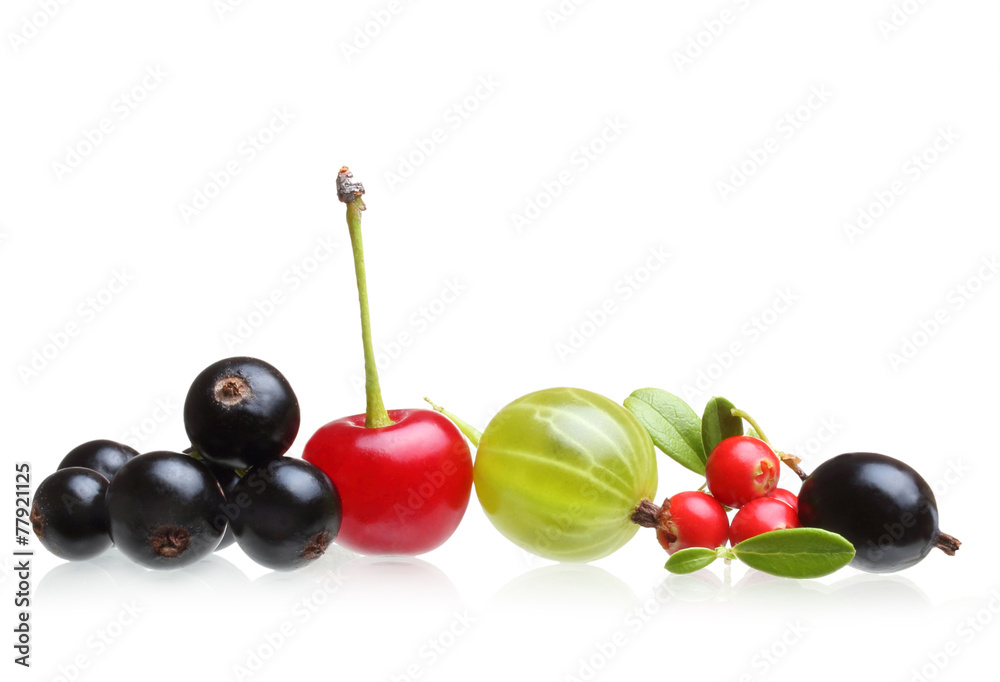 Fototapeta premium Different type of berry fruits isolated