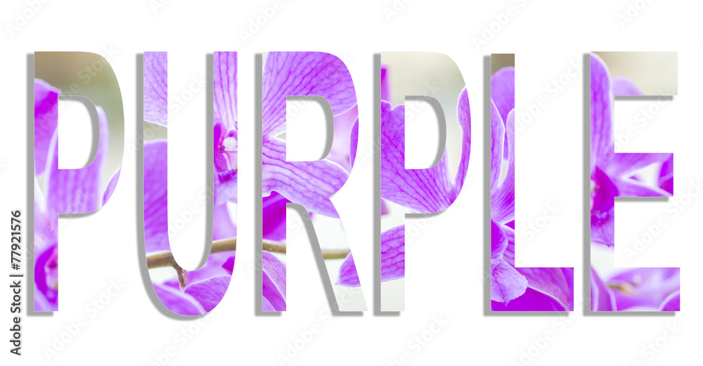 Purple word in orchid flower Purple word in orchid flower
