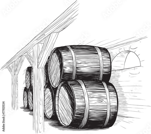 wine cellar with barrels