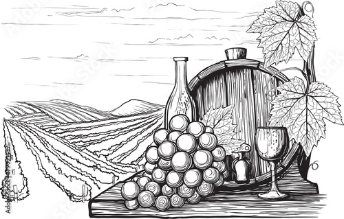 Winemaking illustration