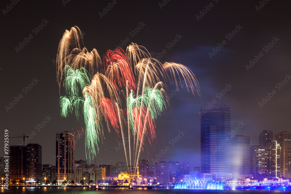 Fototapeta premium Fireworks display in Sharjah City, United Arab Emirates