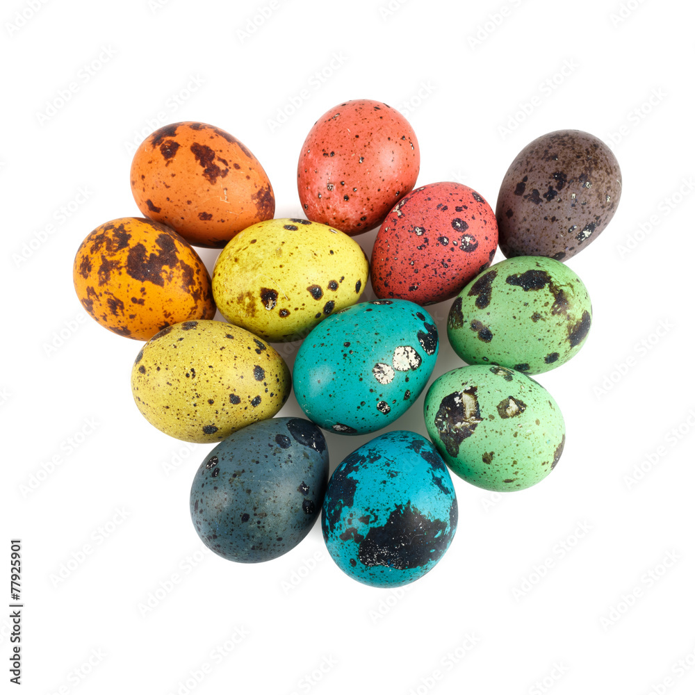 Colored quail eggs