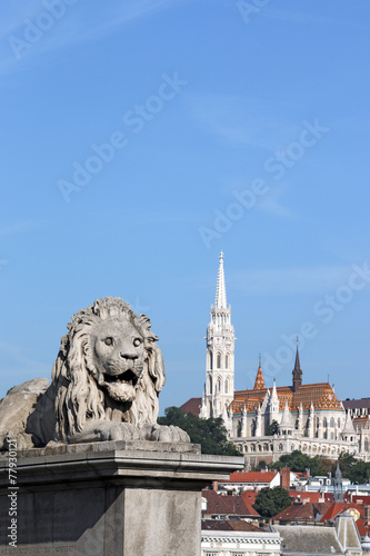 Budapest Chain bridge lion statue