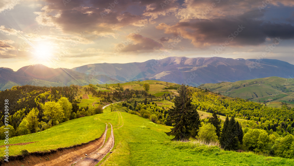 Obraz premium road through the meadow on hillside at sunset