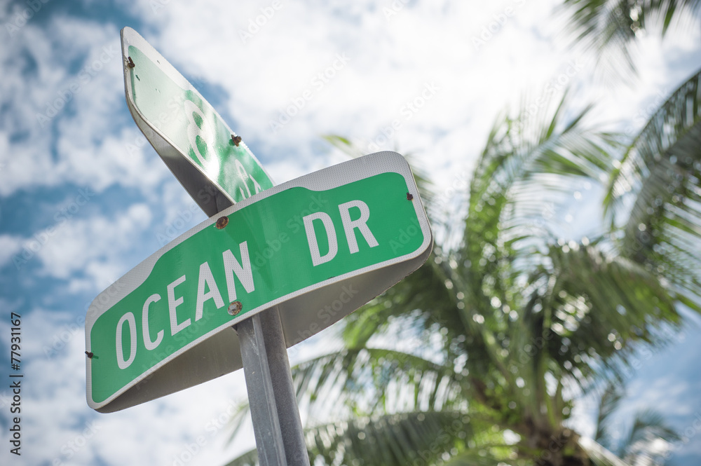 Fototapeta premium Florida moments