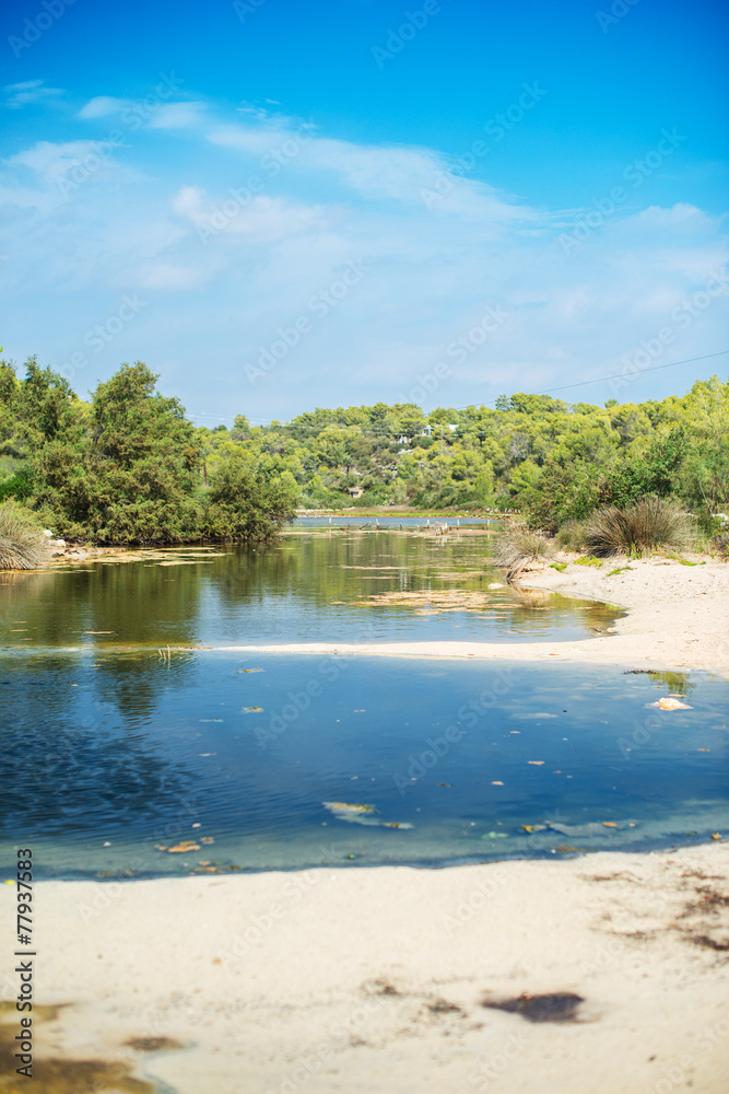 View of tropical landscape with swamp. View of tropical landscape with swamp.