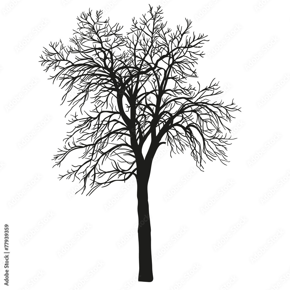 Obraz premium realistic silhouette of tree. hend drown