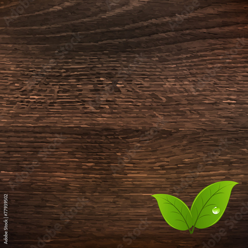 Wooden Texture With Leaf