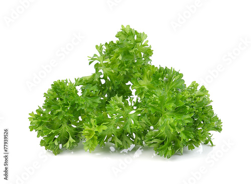 green leaves of parsley isolated on white background