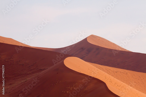 Changing landscape of sand, Sossusvlei