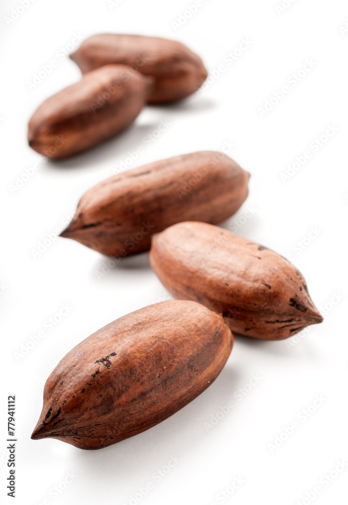 Obraz premium pecan nuts on white