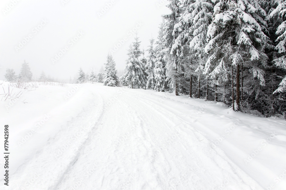 Snowy road in the forest