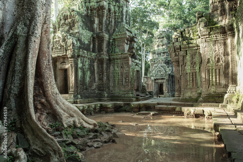 The ruins of Ta Prom Temple, Siem Reap, Cambodia. - obrazy, fototapety, plakaty 