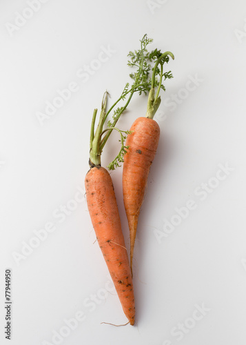 Two carrots photo