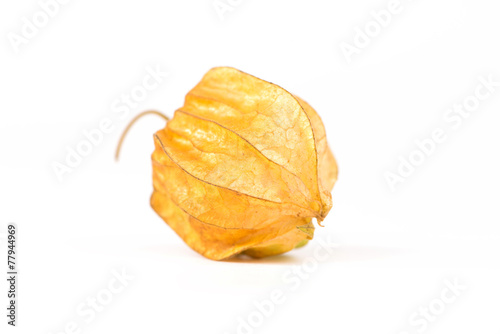Cuadro en lienzo Crape gooseberry on white background