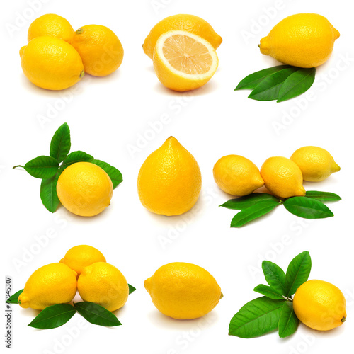 Collection lemon with leaves