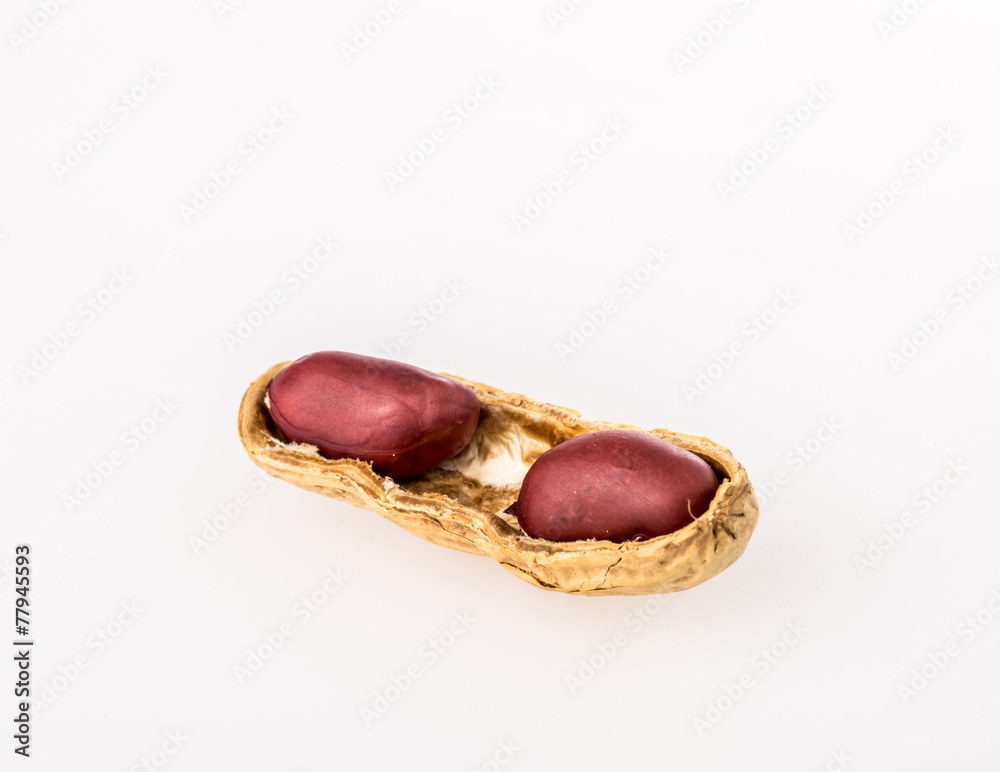 peanut on white background