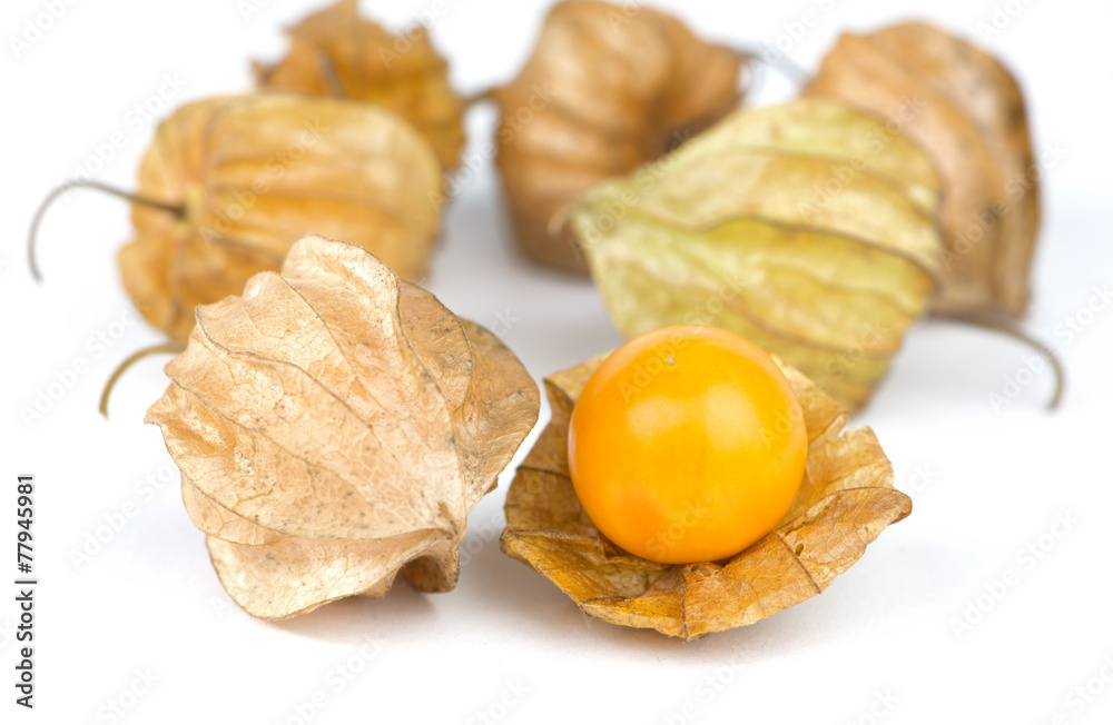 Crape gooseberry on white background Crape gooseberry on white background