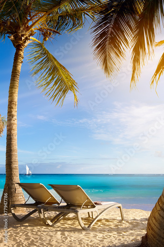 Fototapeta Naklejka Na Ścianę i Meble -  art Deckchairs in tropical beach