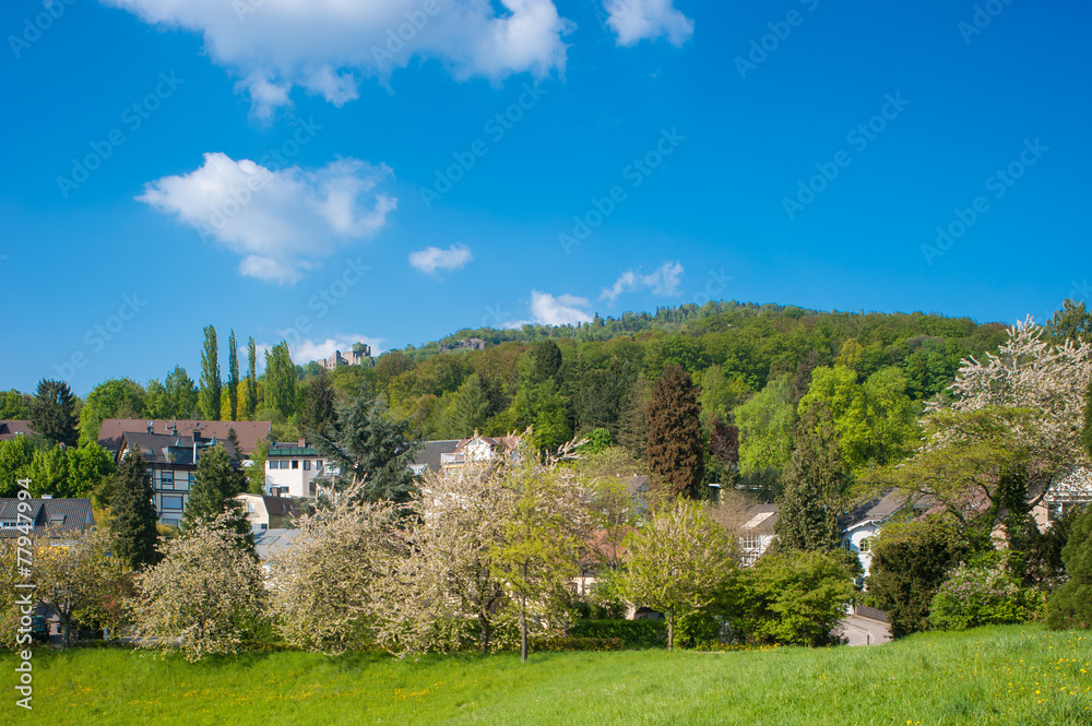 Landschaftsaufnahme mit Altem Schloss und Battertfelsen, Baden-B