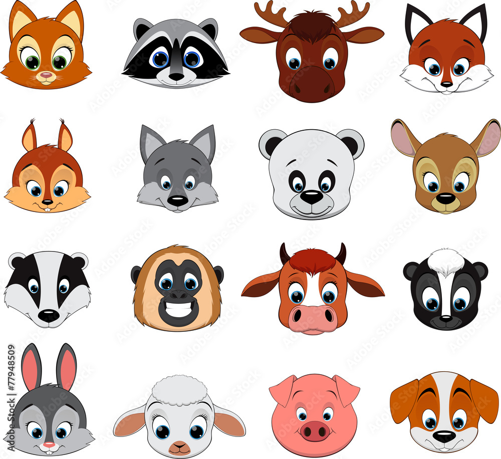 Collection of animals Collection of animals