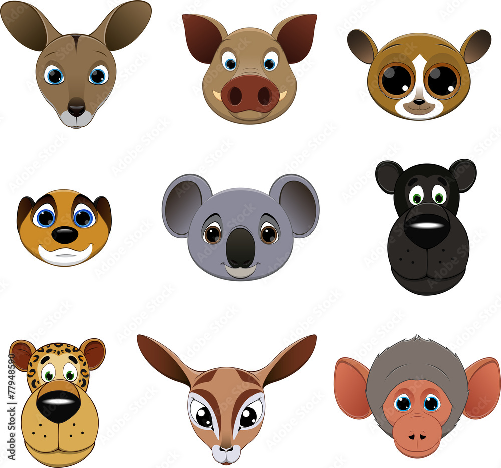 Cute colorful exotic animals Cute colorful exotic animals