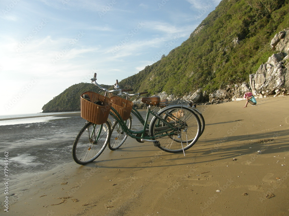 Fototapeta premium beach