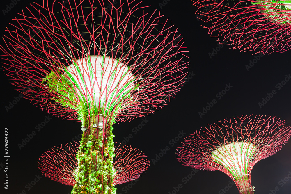 Obraz premium Garden by the Bay