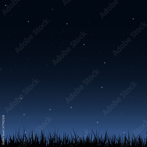 Seamless night sky and grass