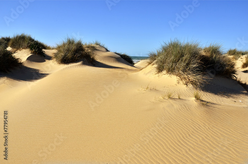 Sistema de dunas en la playa de Camposoto.Cádiz.España