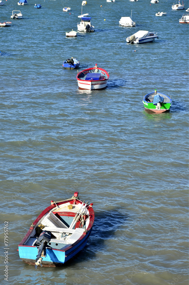 Obraz premium Barcas fondeadas en la Bahía de Cádiz.España