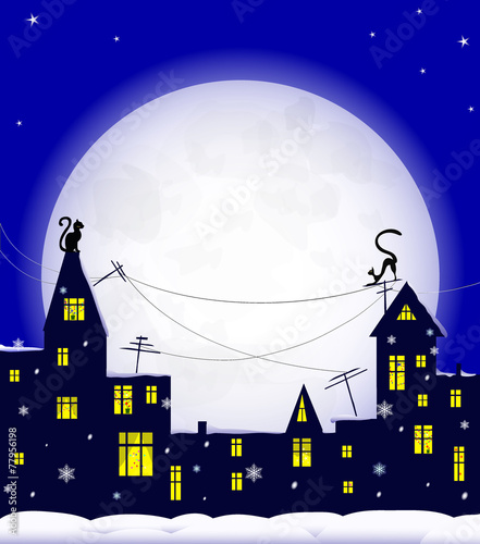 night, cat, winter