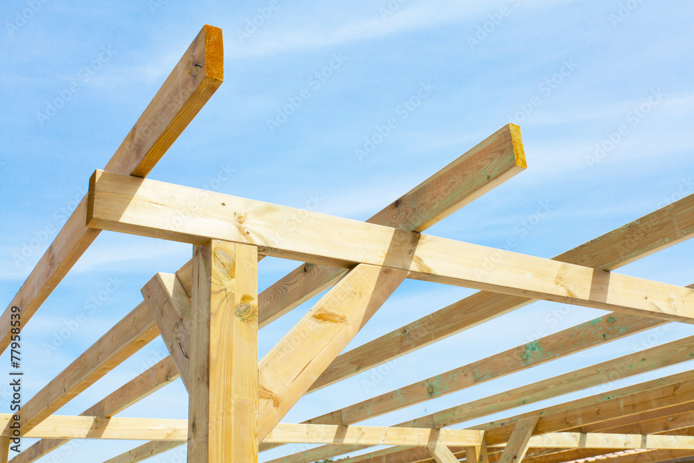 wood frame of a shelter wood frame of a shelter