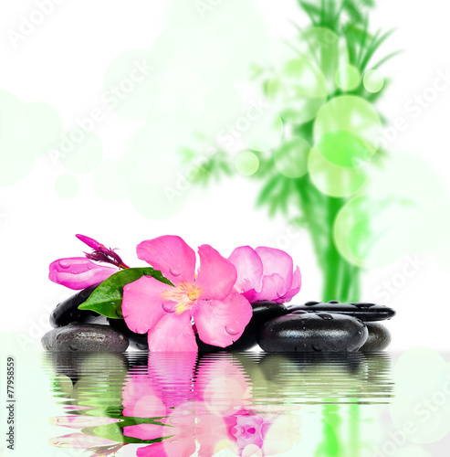 spa concept with zen stones and flower