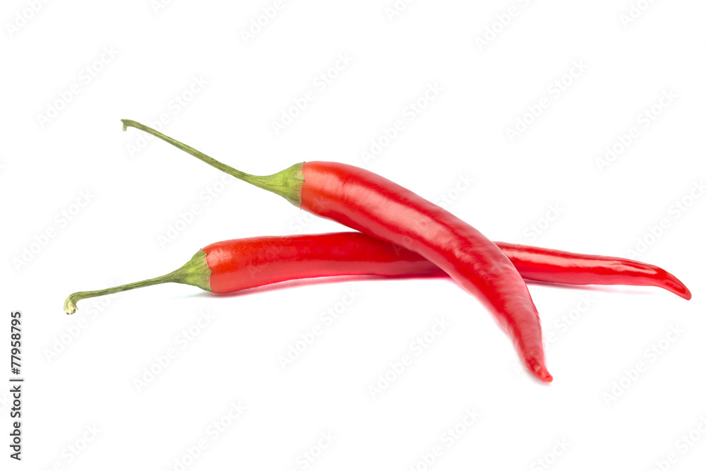 Two spicy red chili pepper