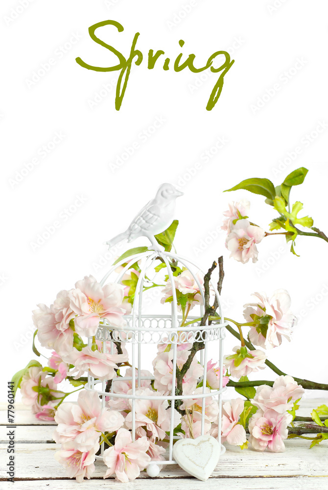 Plakat spring flowers in birdcage