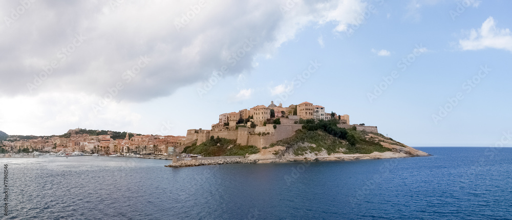 Town of Calvi from the ferry