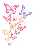 Realistic Colorful Butterflies Isolated for Spring