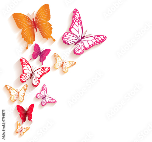 Realistic Colorful Butterflies Isolated for Spring