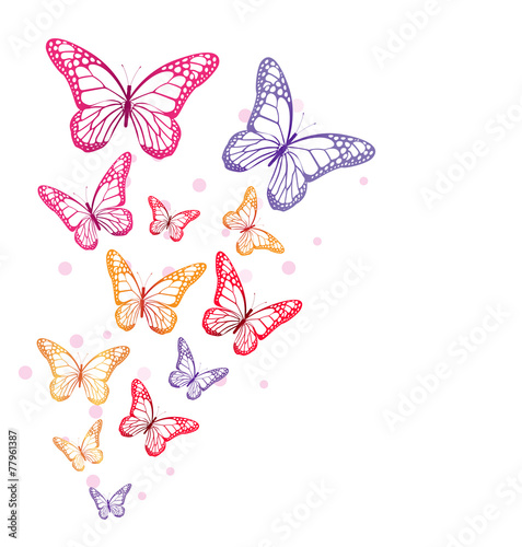Naklejka Realistyczne kolorowe motyle na białym tle na wiosnę