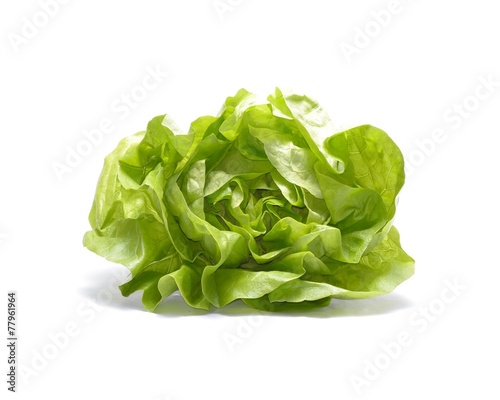 Head of lettuce isolated on white background