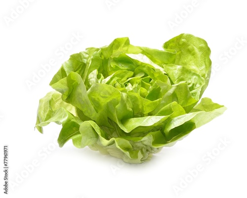 Head of lettuce isolated on white background