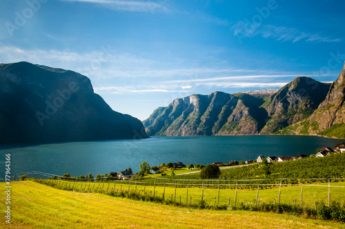 Aurlandsfjord / Nærøyfjord and grassland in Norway
