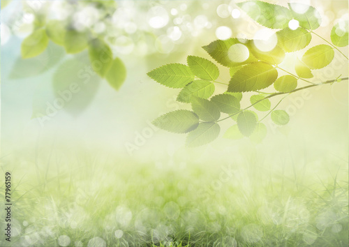 Green, sunny natural background