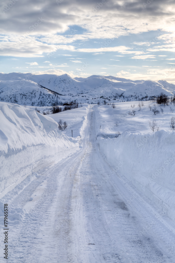 Snowy road 2