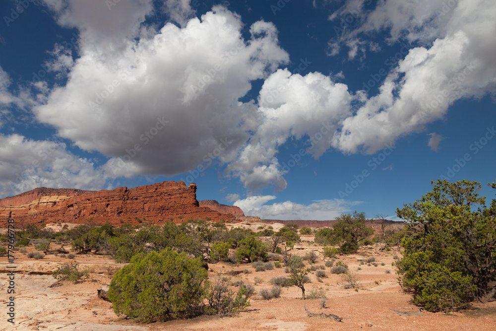 Fototapeta premium UT_Canyonlands National Park-The Maze District