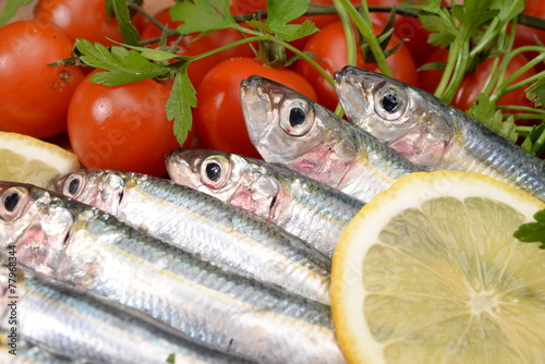 sarde - sardines - сардины - sardinas - photo