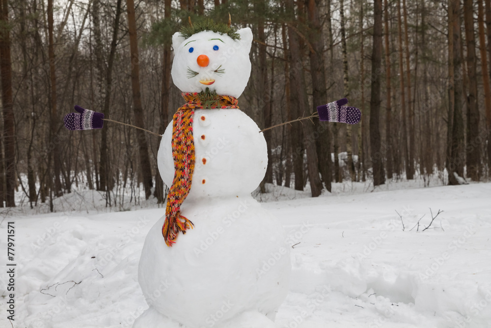 Obraz premium snowman in forest