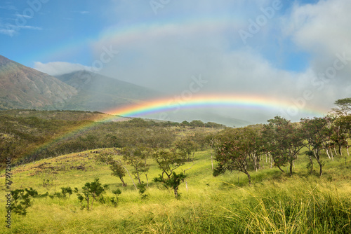 rainbow maui hawaii